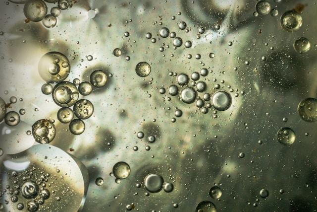 Aceites